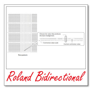 Roland Bidirectional